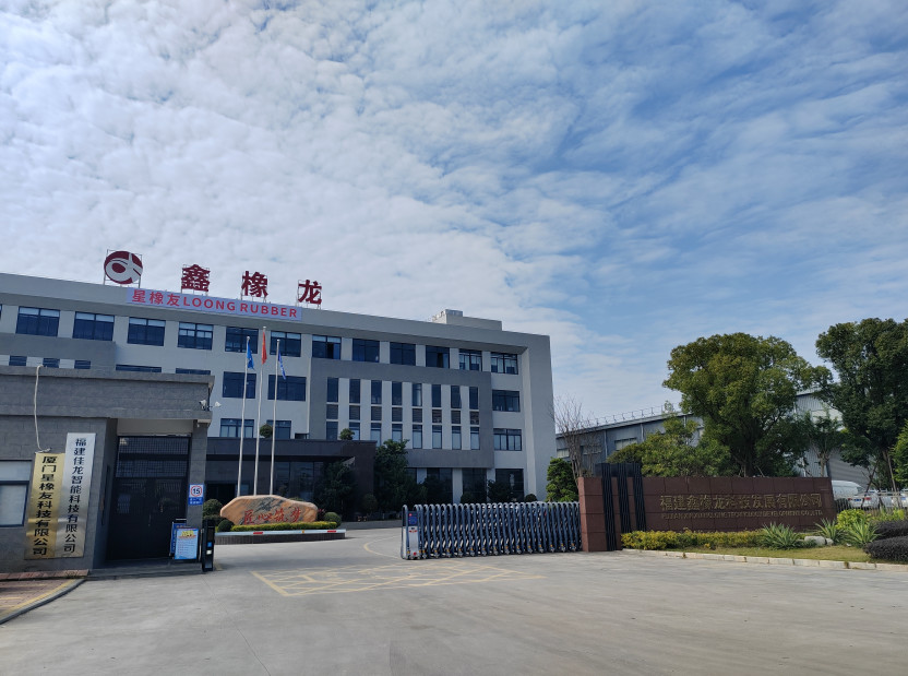 중국 Xiamen Loongrubber Technic Co., Ltd 회사 프로필